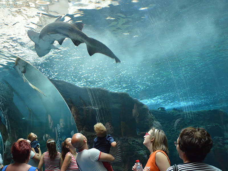 Cretaquarium
